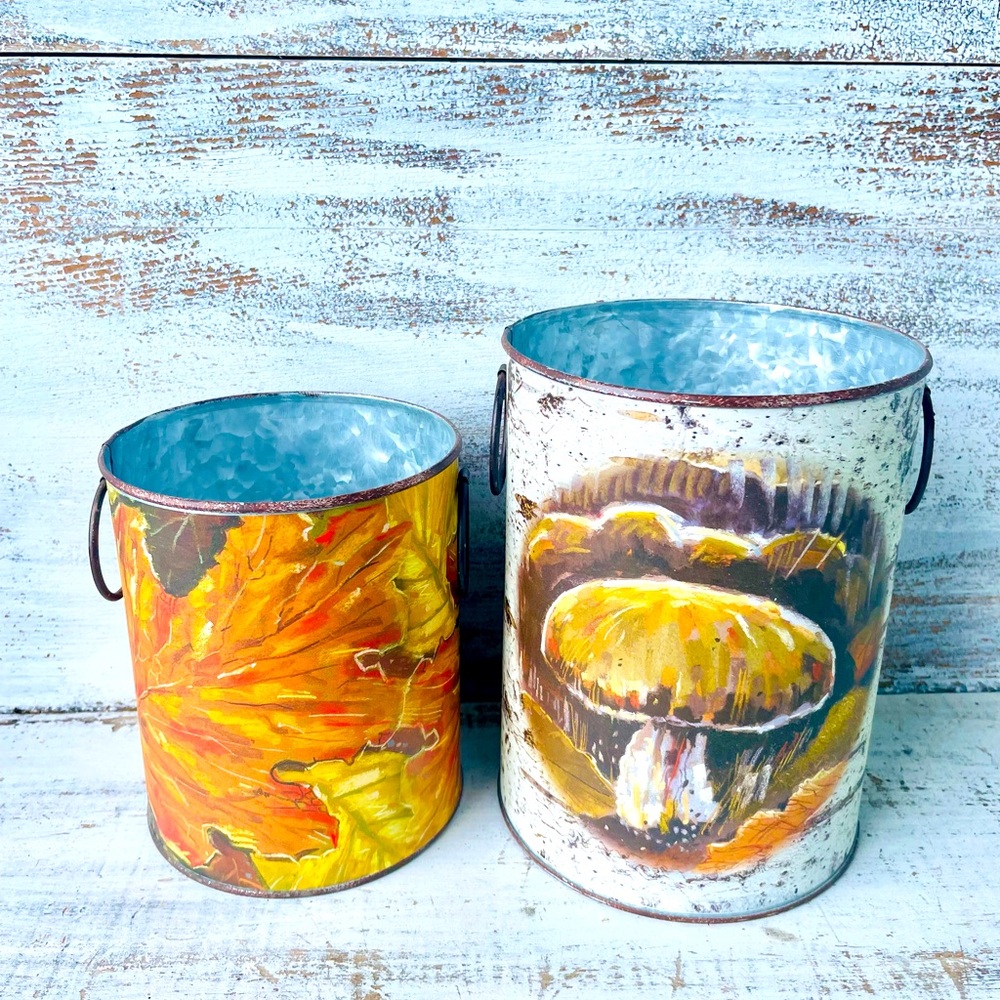 *Fall Plants Galvanized Buckets Set of 2